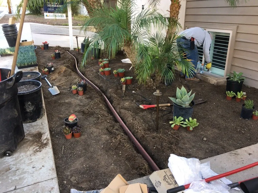 Custom yard maintenance in Santa Monica, CA by Garden Works Landscaping