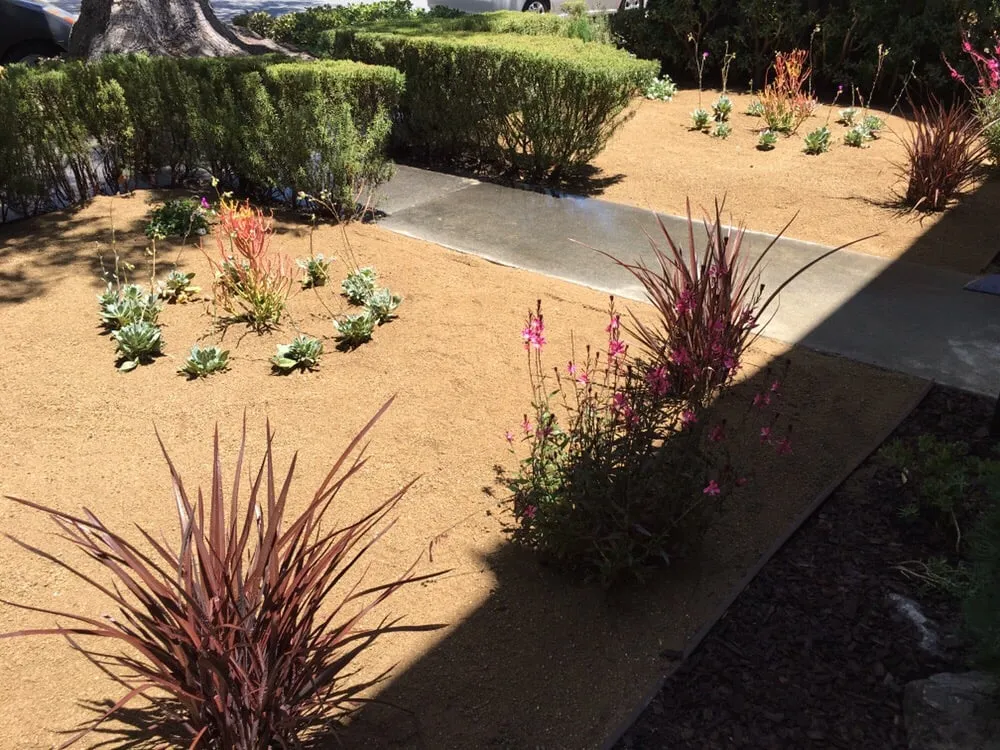 Affordable yard cleanup service for homes across Santa Monica, CA - Garden Works Landscaping