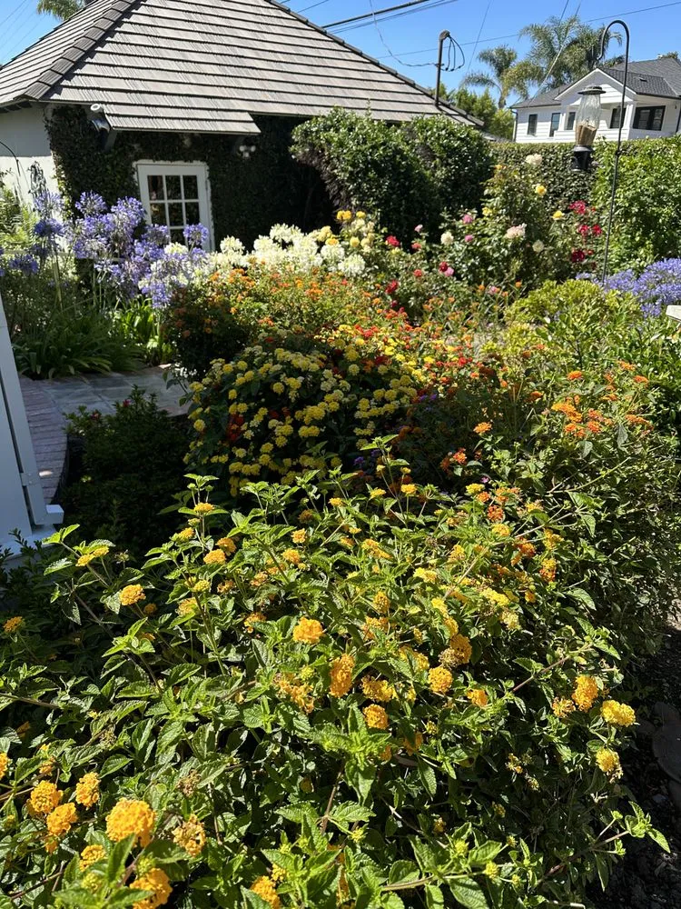 Trusted yard maintenance for outdoor upgrades across Santa Monica, CA - Garden Works Landscaping