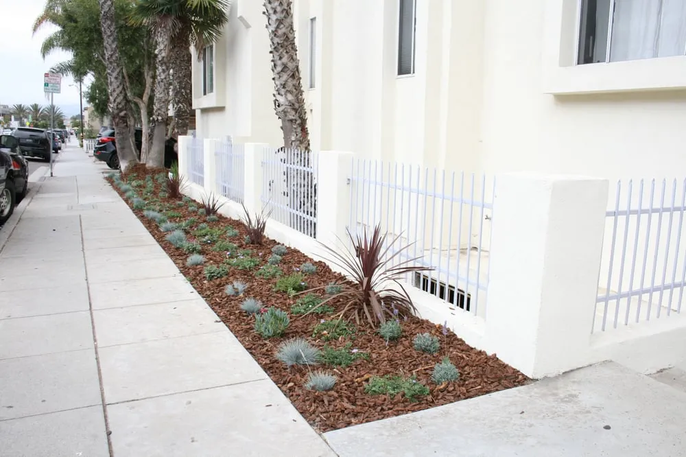 Expert landscape installation in Santa Monica, CA by Garden Works Landscaping