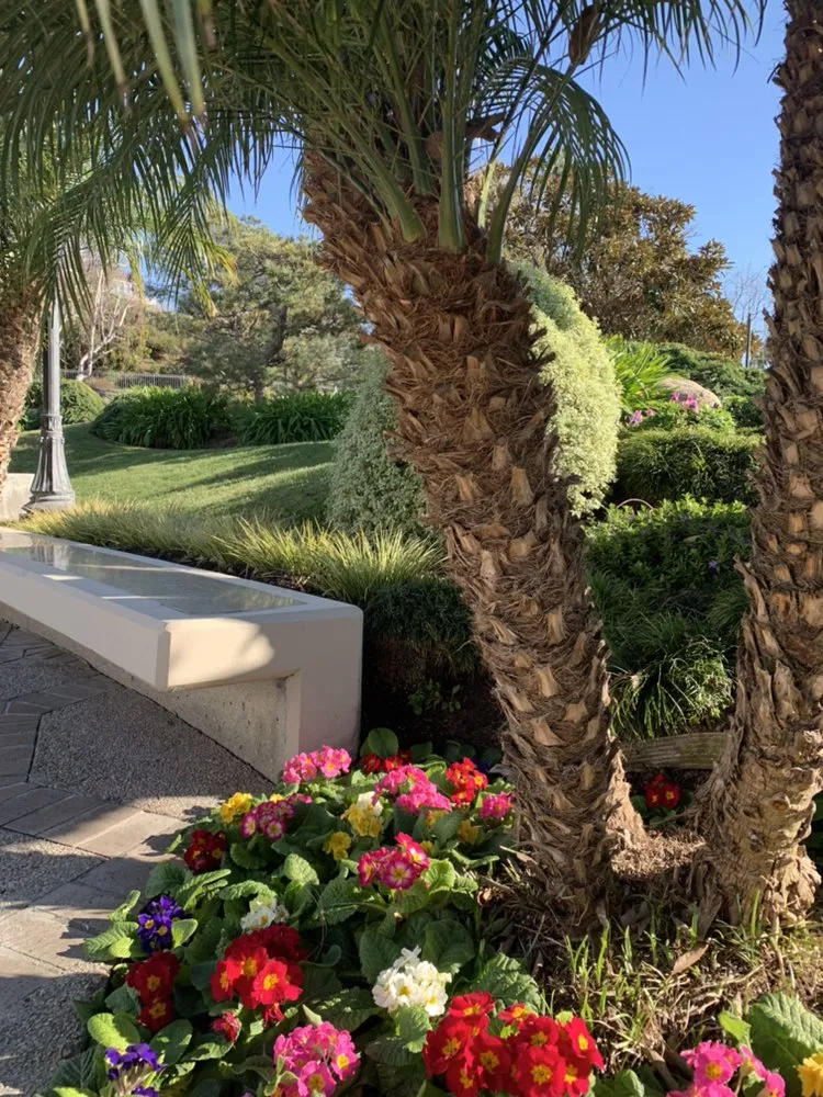 Trusted landscaping services for year-round maintenance across Santa Monica, CA - Garden Works Landscaping