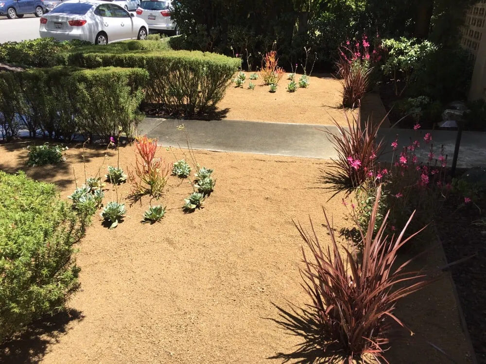 Top-rated landscape design for outdoor upgrades in Santa Monica, CA by Garden Works Landscaping