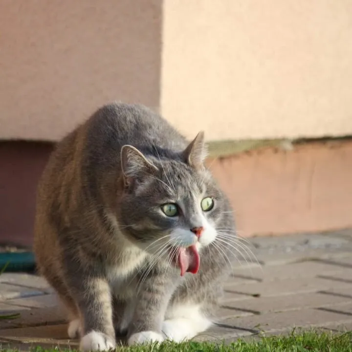 Reliable landscape installation experts serving Baldwin Park, CA - Garden Worx Landscapes