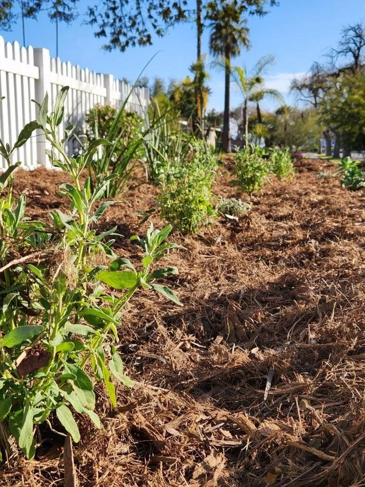 Reliable lawn mowing service for residential properties across Baldwin Park, CA - Garden Worx Landscapes