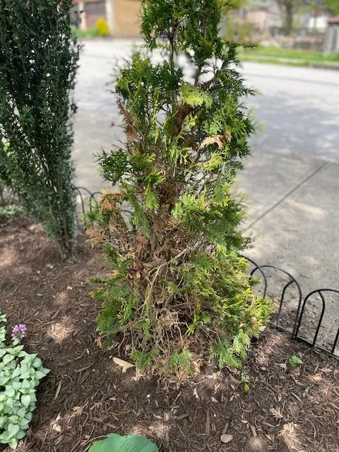 Expert residential landscaping for year-round maintenance across Pittsburgh, PA - Gardenalia