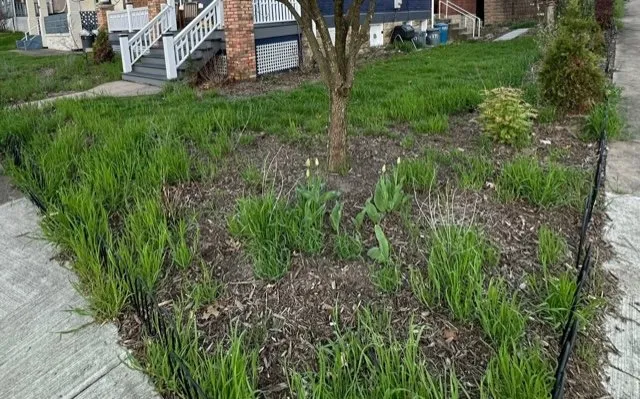 Custom residential landscaping for homes across Pittsburgh, PA - Gardenalia