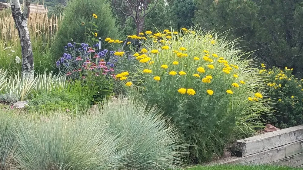 Top-rated lawn care service in Manitou Springs, CO - GardenArtscapes