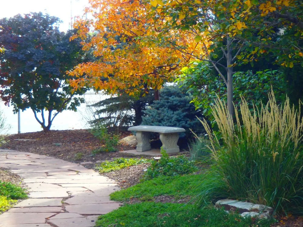 Professional yard cleanup service in Manitou Springs, CO - GardenArtscapes