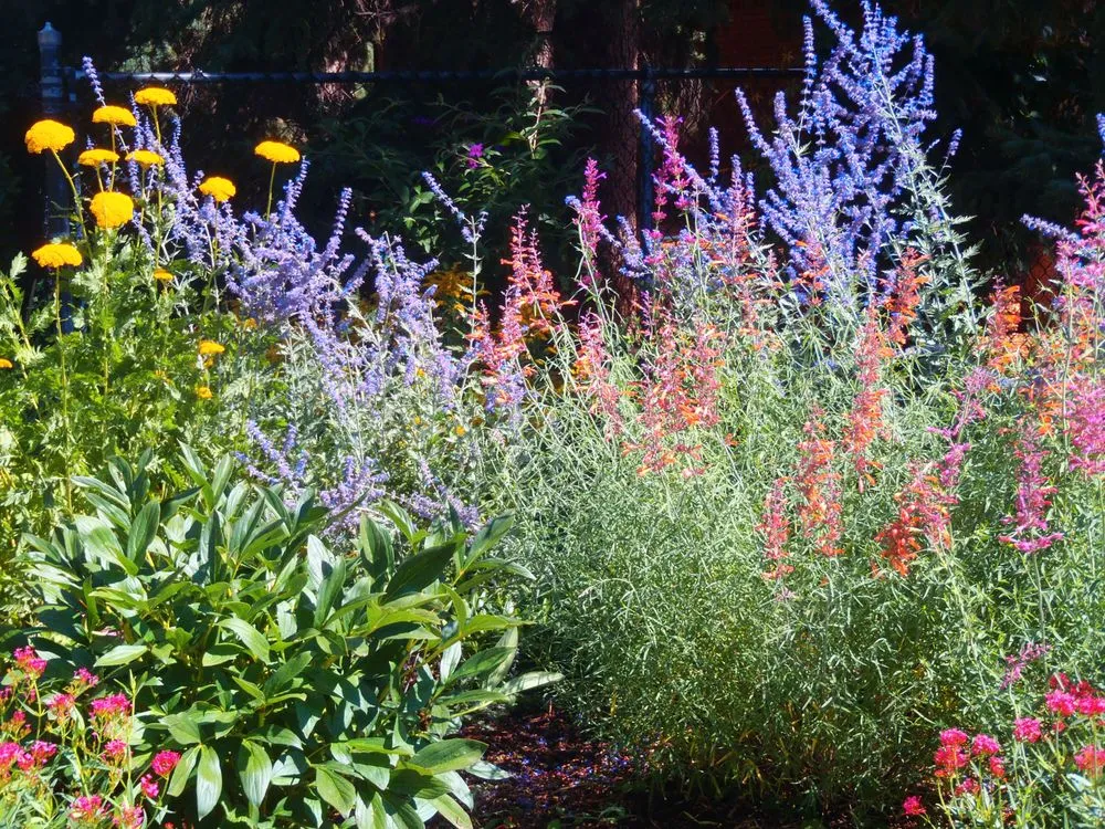 Professional outdoor landscaping with custom design in Manitou Springs, CO by GardenArtscapes