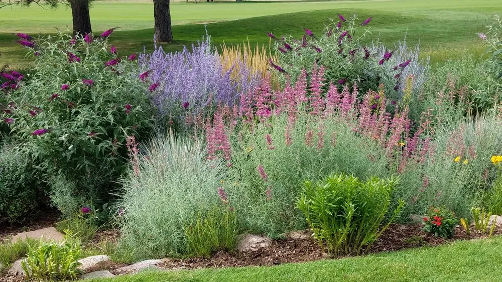 Expert lawn care service in Manitou Springs, CO by GardenArtscapes