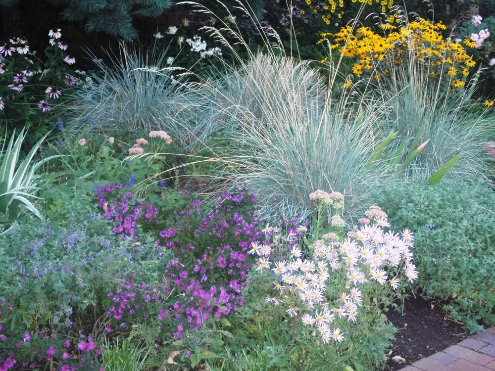 Reliable garden landscaping near you across Manitou Springs, CO - GardenArtscapes