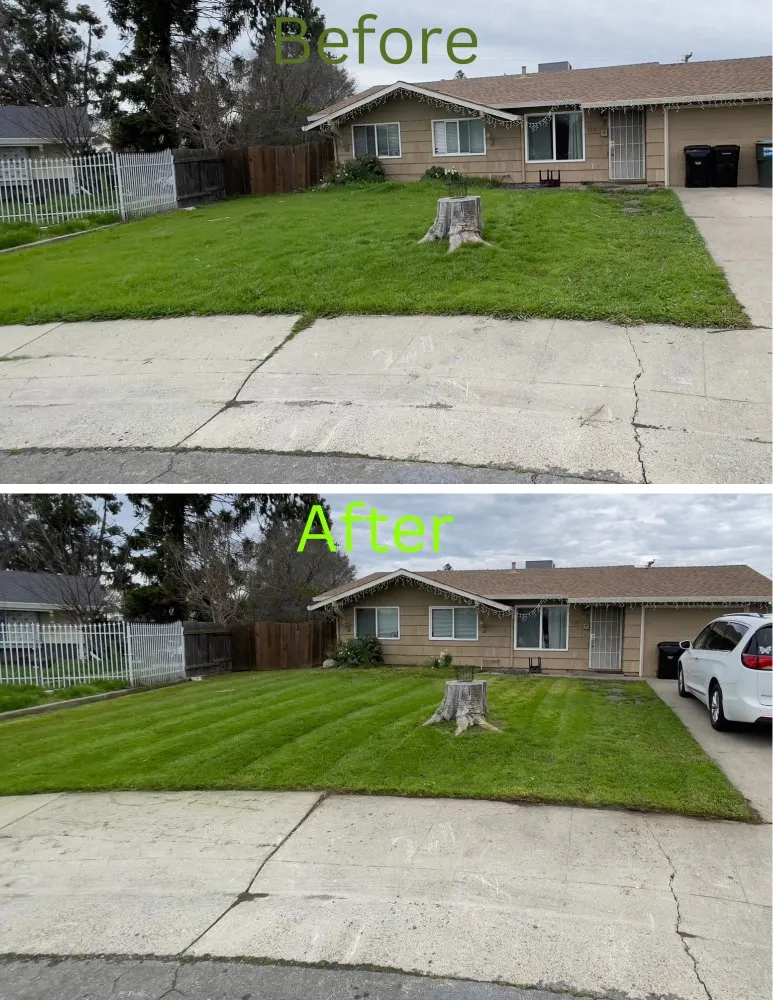 Top-rated landscaping services experts serving Antelope, CA - Gardenation Landscape
