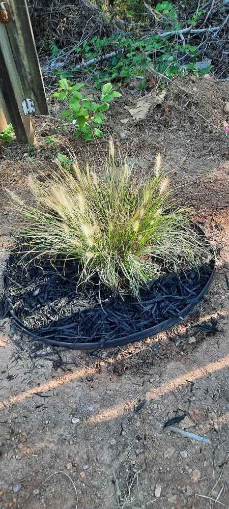 Reliable landscape installation experts serving Asheboro, NC - Gardenboro Landscaping