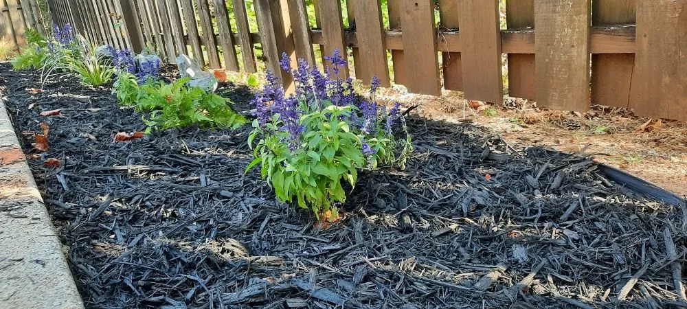 Affordable garden landscaping in Asheboro, NC - Gardenboro Landscaping