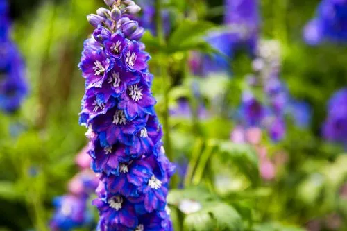 Trusted lawn care service for outdoor upgrades across Water Mill, NY - Gardeneering