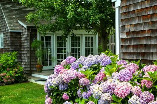 Trusted outdoor landscaping in Water Mill, NY - Gardeneering