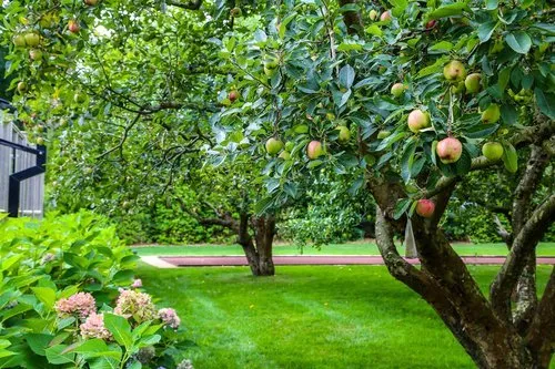 Top-rated landscaping services for residential properties in Water Mill, NY by Gardeneering