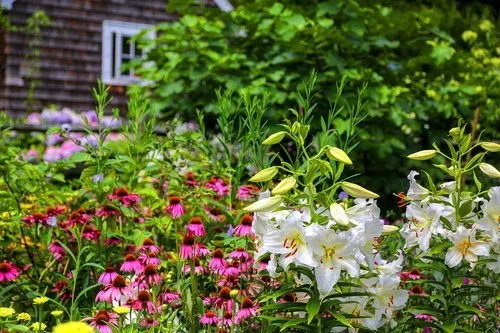 Custom lawn care service in Water Mill, NY by Gardeneering