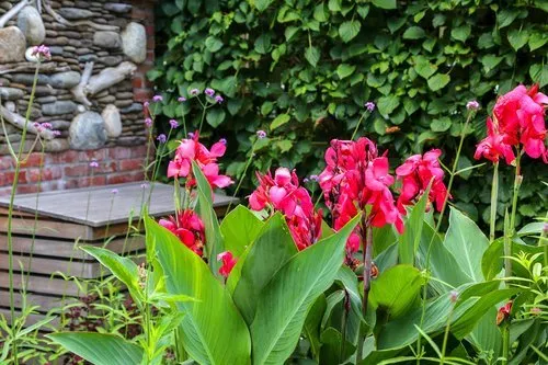 Local yard maintenance for outdoor upgrades across Water Mill, NY - Gardeneering