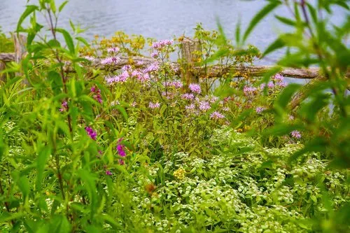 Local residential landscaping in Water Mill, NY by Gardeneering