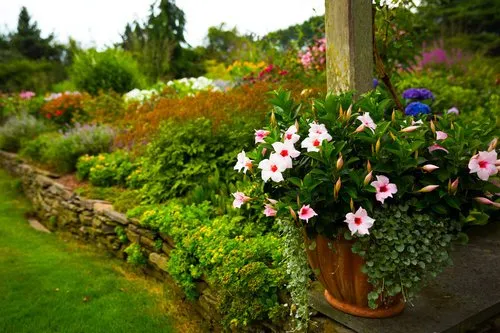 Professional residential landscaping in Water Mill, NY by Gardeneering