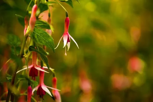 Top-rated lawn mowing service in Water Mill, NY by Gardeneering