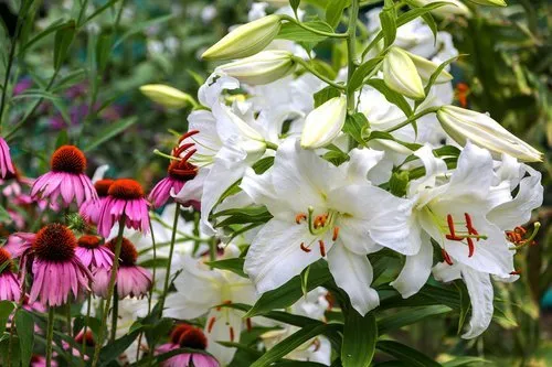 Expert residential landscaping for outdoor upgrades in Water Mill, NY by Gardeneering