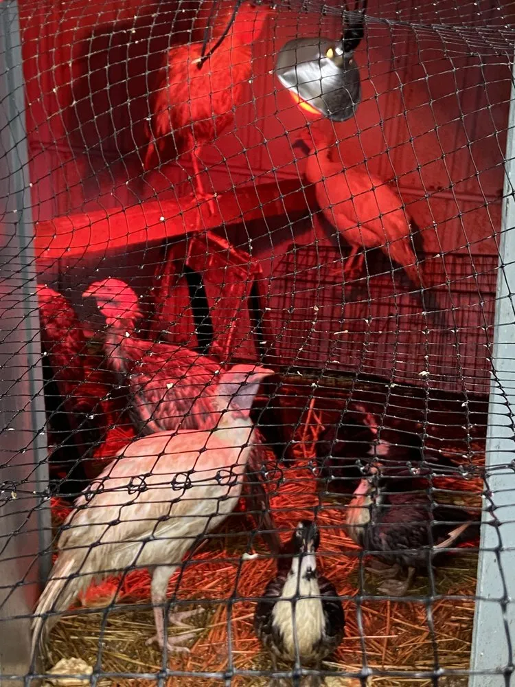 Local lawn mowing service for residential properties across Everett, WA - Gardener Of Eden Landscaping