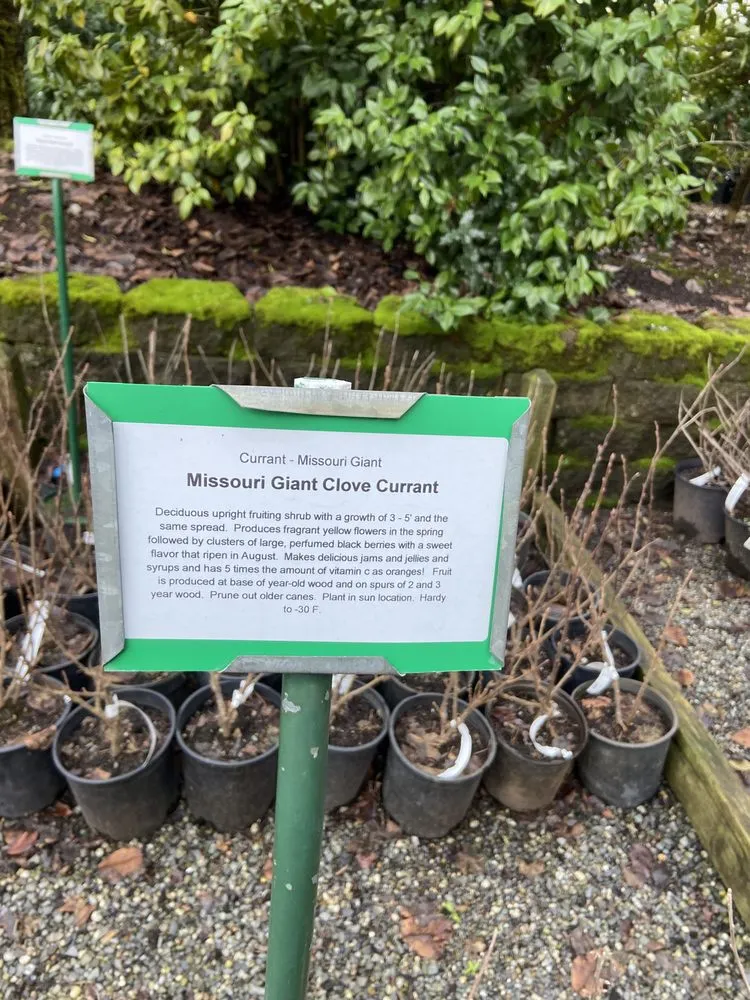 Trusted lawn care service in Everett, WA - Gardener Of Eden Landscaping