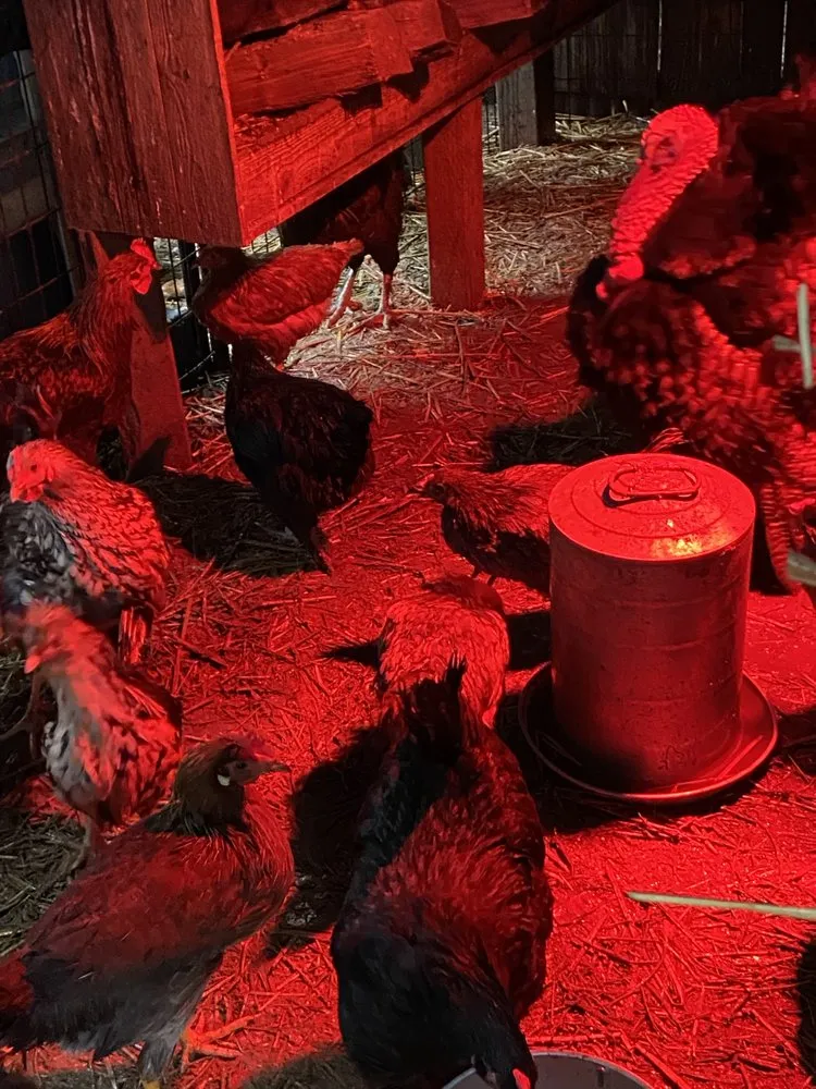 Expert landscaping services in Everett, WA by Gardener Of Eden Landscaping