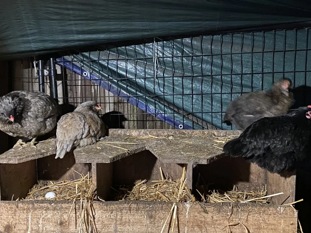 Top-rated residential landscaping in Everett, WA - Gardener Of Eden Landscaping