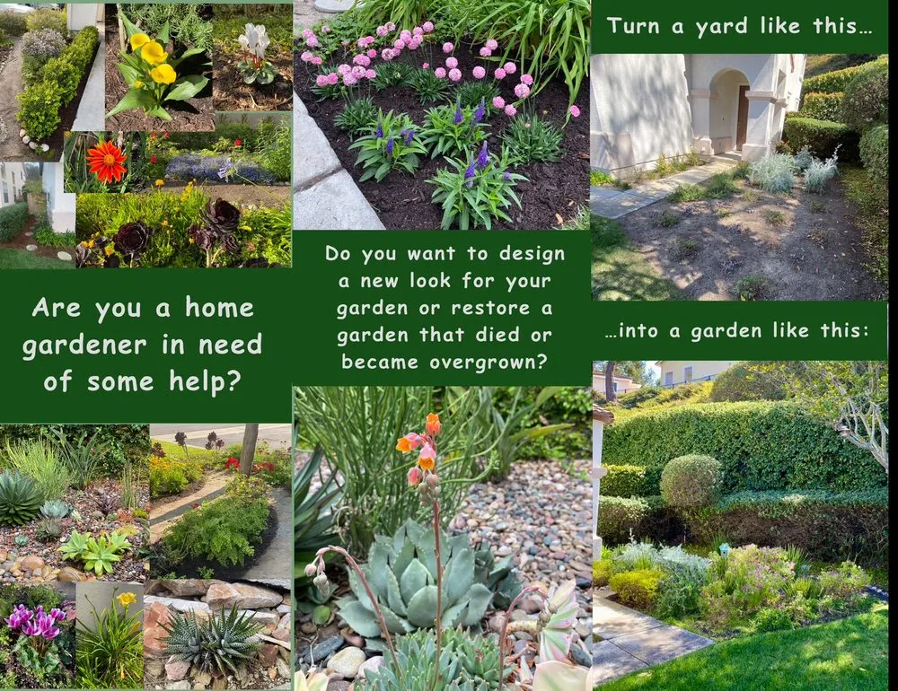 Top-rated yard cleanup service experts serving Oceanside, CA - Gardener’s Aide