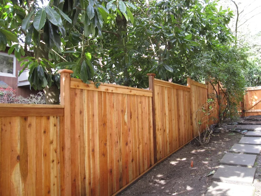Local yard maintenance in Seattle, WA - Gardener's Choice Landscaping