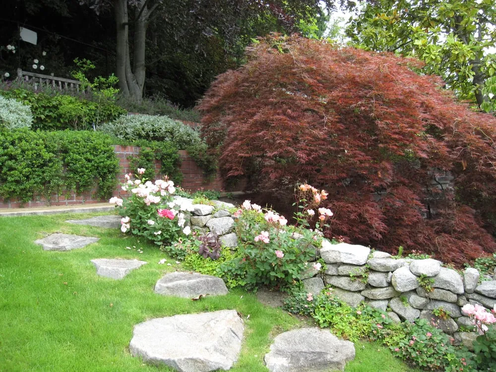 Reliable residential landscaping with custom design in Seattle, WA by Gardener's Choice Landscaping