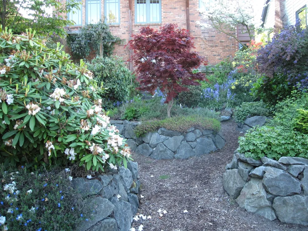 Expert lawn care service for outdoor upgrades in Seattle, WA by Gardener's Choice Landscaping