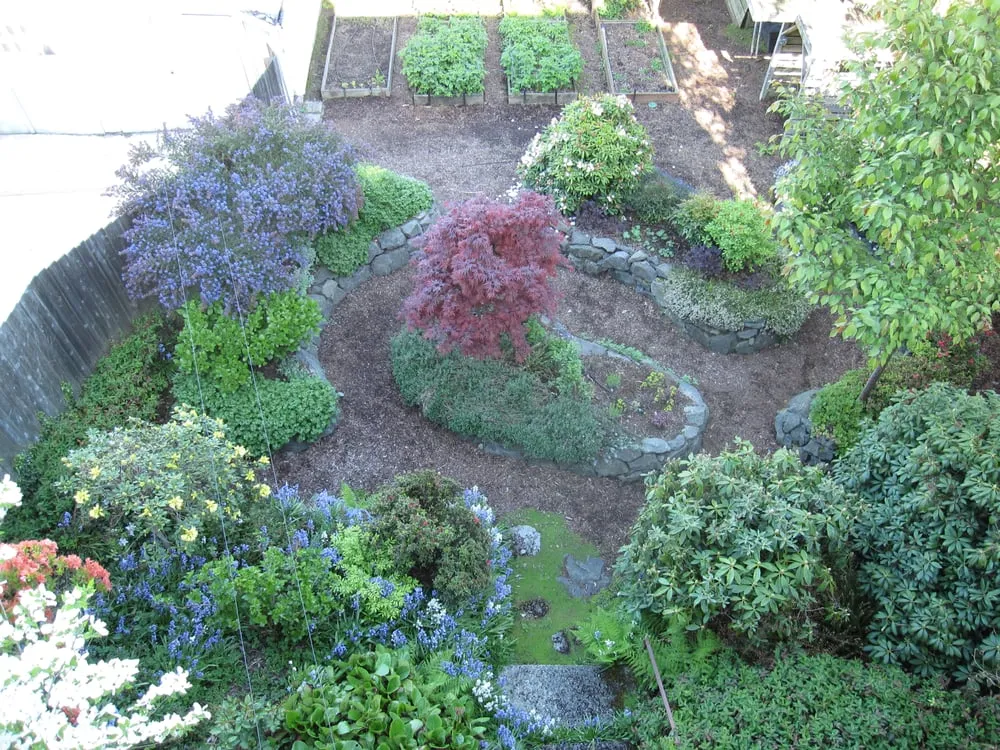 Professional outdoor landscaping in Seattle, WA by Gardener's Choice Landscaping