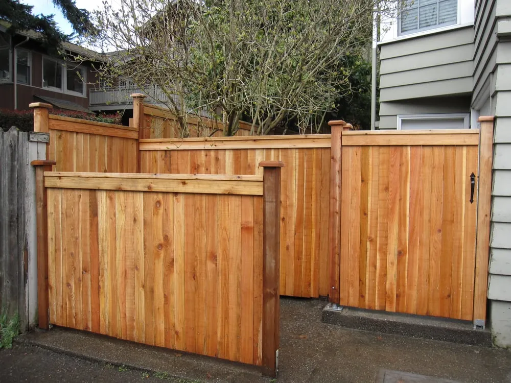 Expert garden landscaping for year-round maintenance in Seattle, WA by Gardener's Choice Landscaping