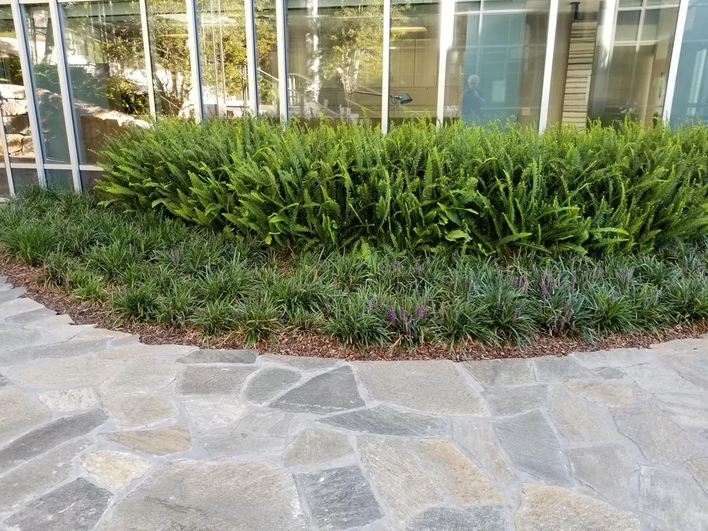 Professional landscape installation for homes in Richmond, CA by Gardeners Guild