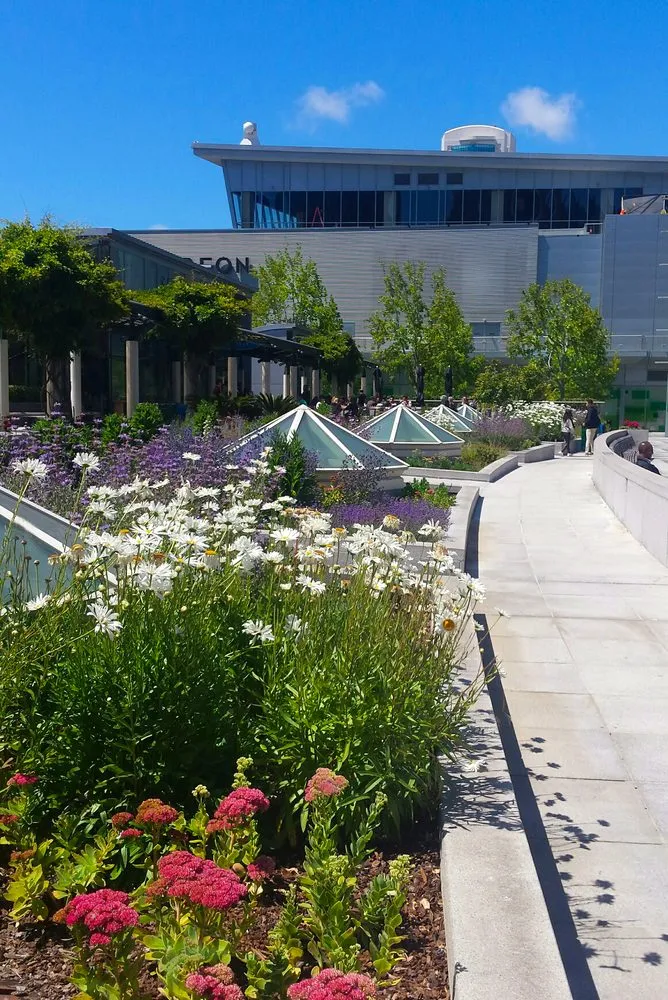 Trusted outdoor landscaping in Richmond, CA - Gardeners Guild