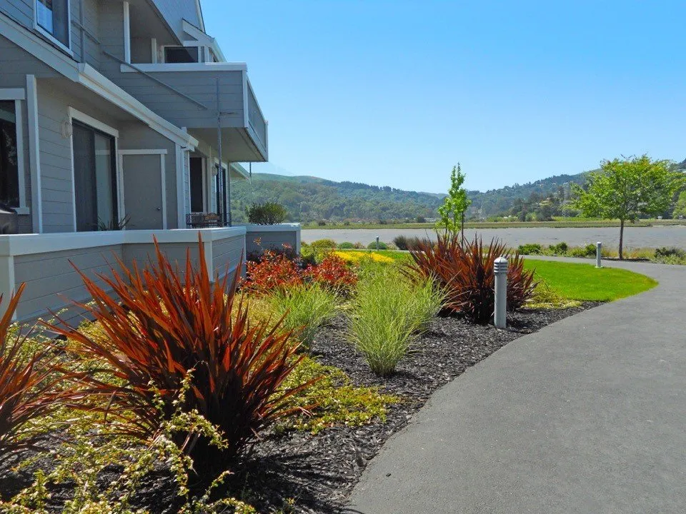 Top-rated lawn care service in Richmond, CA - Gardeners Guild