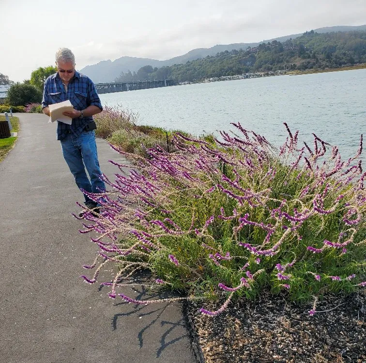 Local yard cleanup service in Richmond, CA - Gardeners Guild