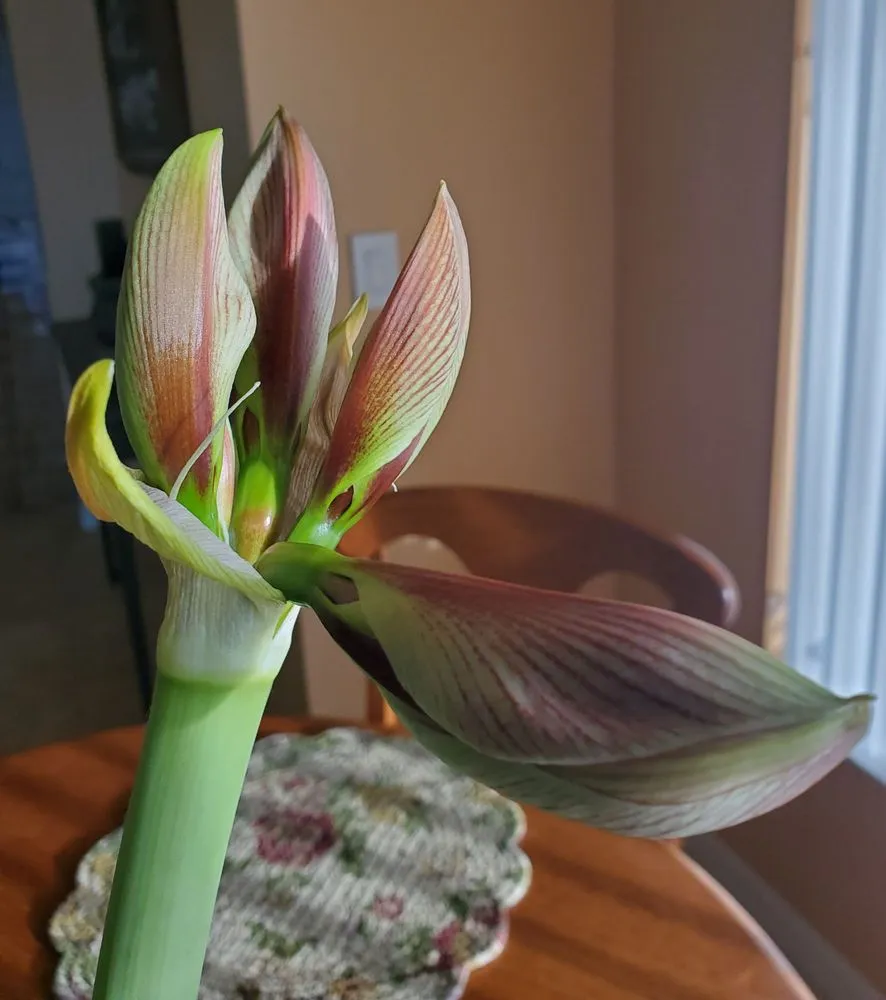 Custom landscape design experts serving Burlington, VT - Gardener's Supply Company