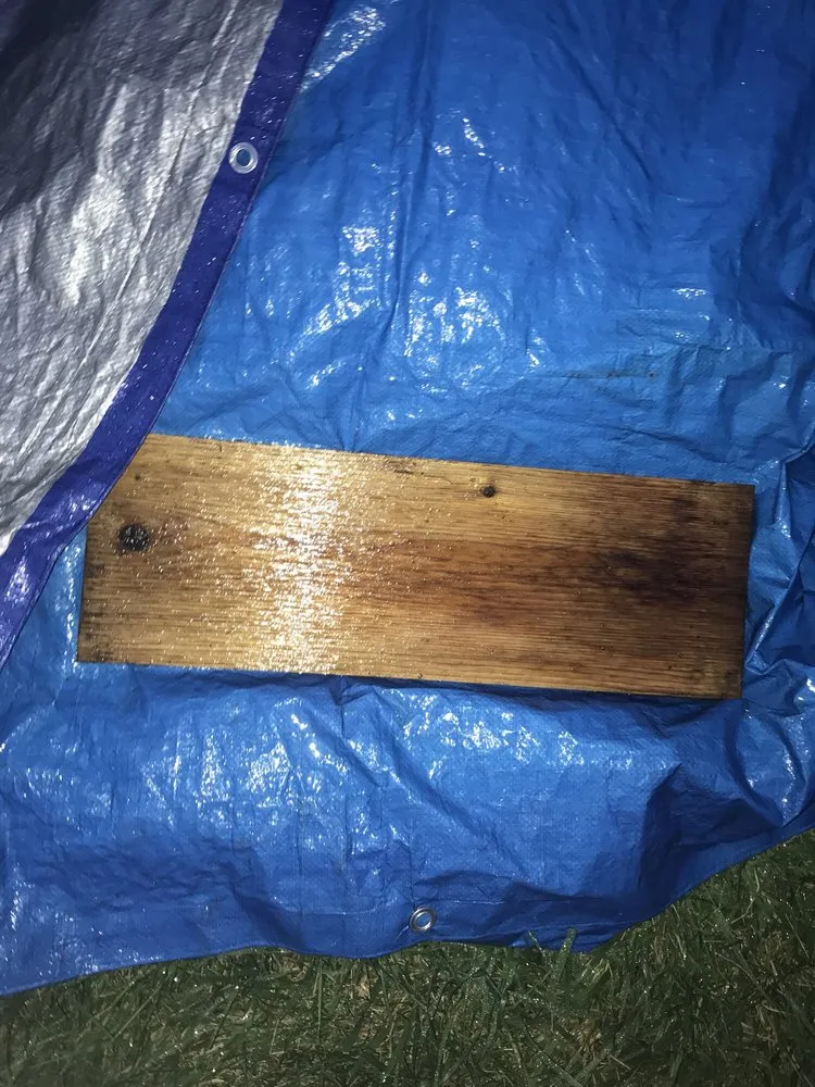 Local yard cleanup service experts serving Burlington, VT - Gardener's Supply Company