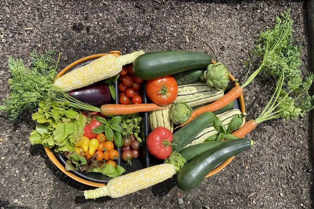 Expert outdoor landscaping in Burlington, VT - Gardener's Supply Company