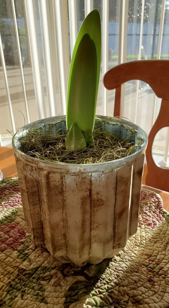 Reliable lawn care service for residential properties across Burlington, VT - Gardener's Supply Company