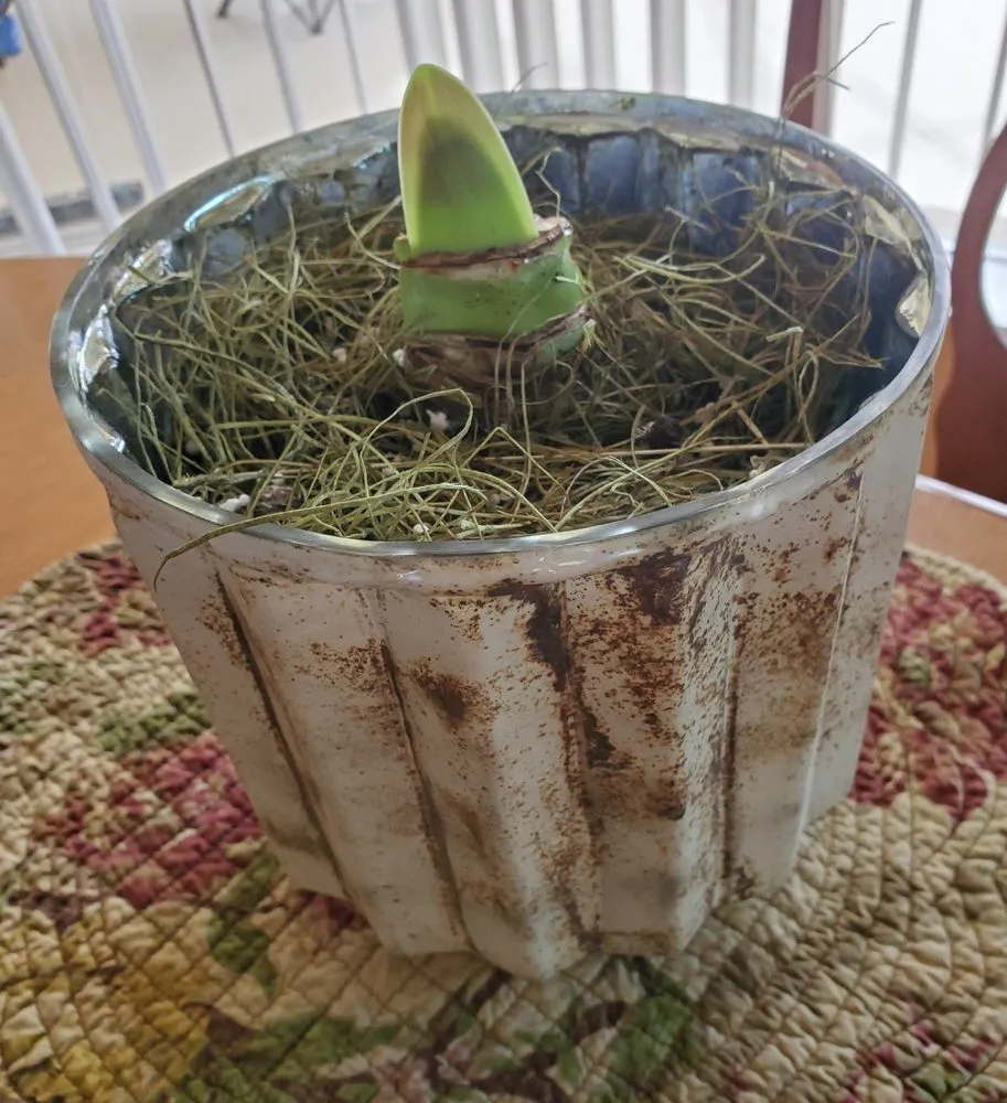 Reliable landscape installation for residential properties across Burlington, VT - Gardener's Supply Company