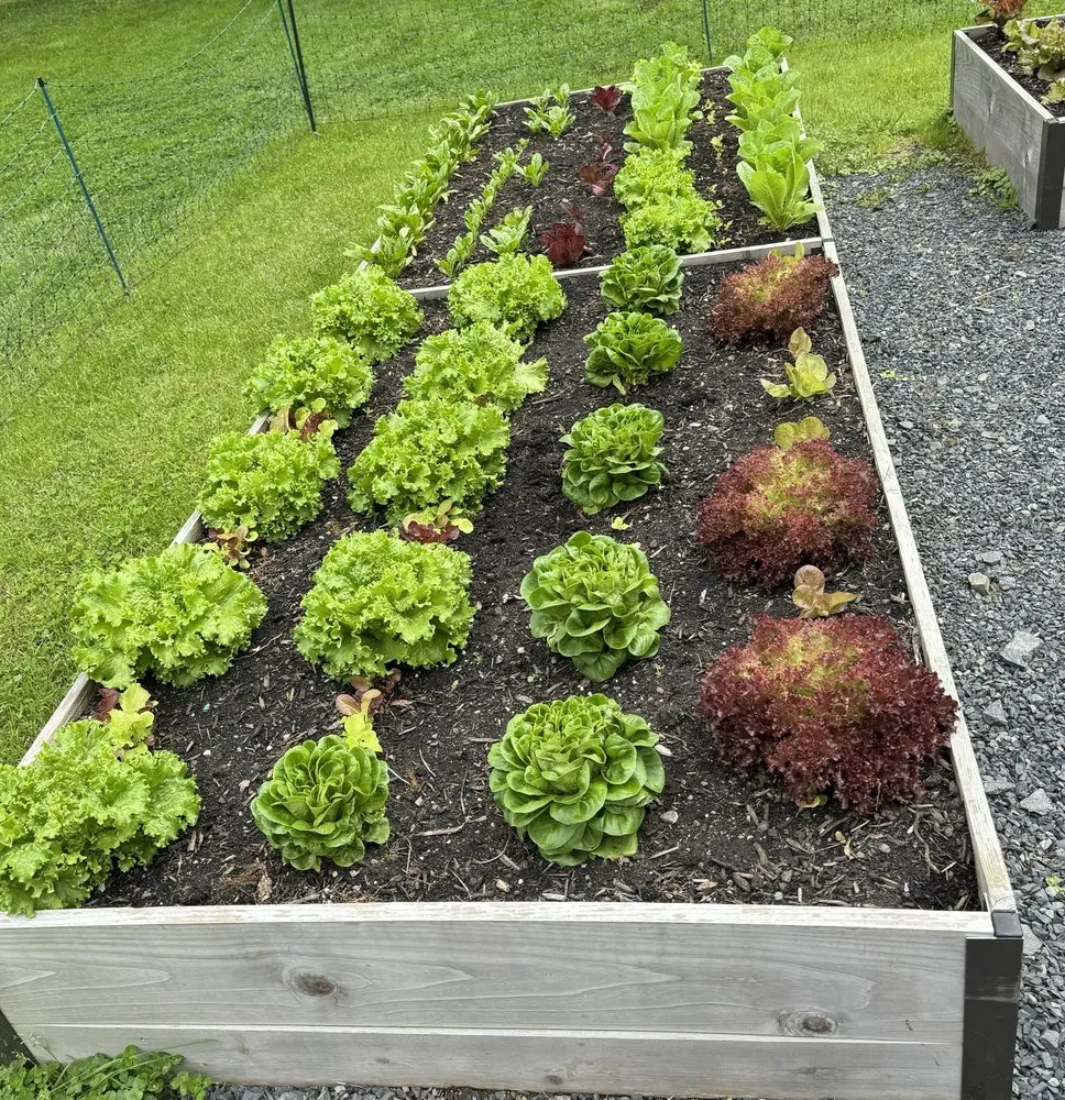 Reliable lawn care service with custom design in Burlington, VT by Gardener's Supply Company