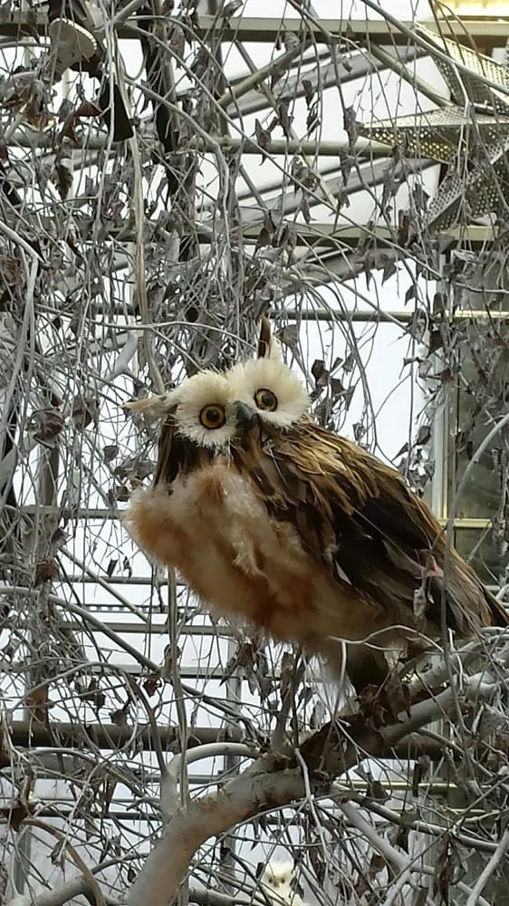 Top-rated garden landscaping for year-round maintenance in Williston, VT by Gardener's Supply Williston Garden Center & Outlet