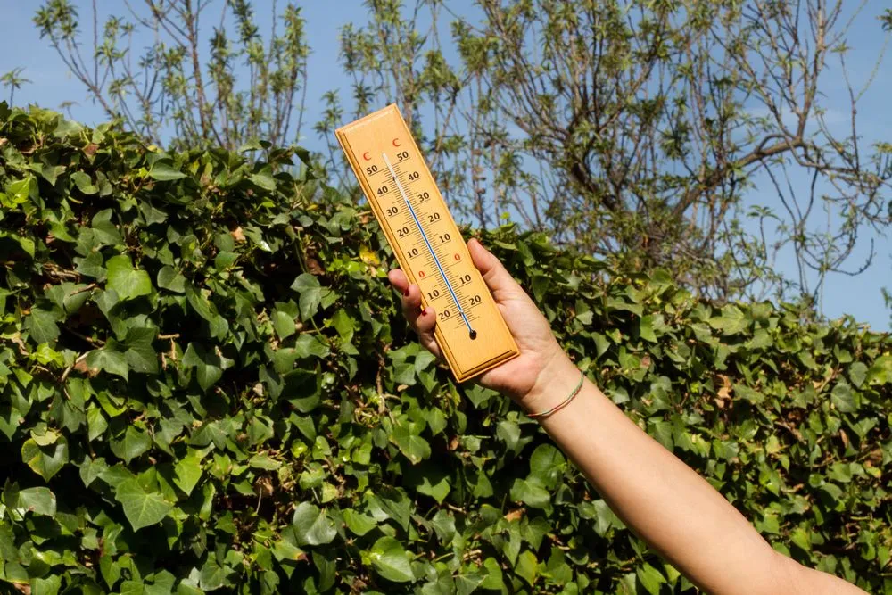 Reliable landscaping services for outdoor upgrades in Orchard Park, NY by Gardenette Design