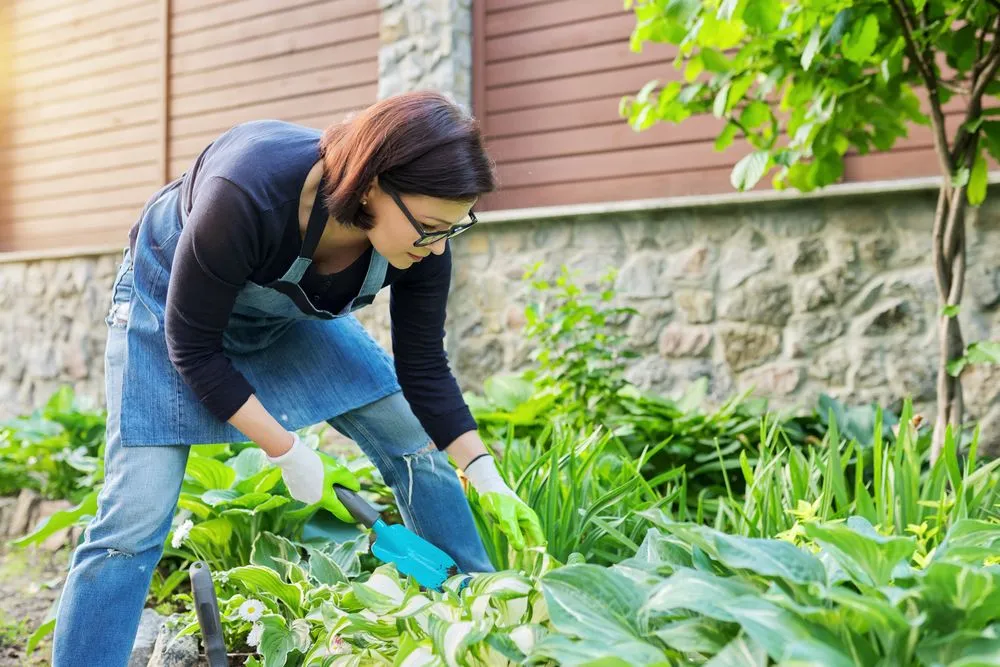 Local landscaping services in Orchard Park, NY by Gardenette Design